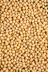 Soya Beans, Soybeans Background. Soybeans texture. top view. Healthy food. soy pattern. soya Raw bean seed food organic.