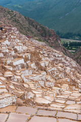 c&acirc;lineras de maras