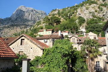 Fototapeta na wymiar Roofs of old houses in Kotor, Montenegro with mountains in the background