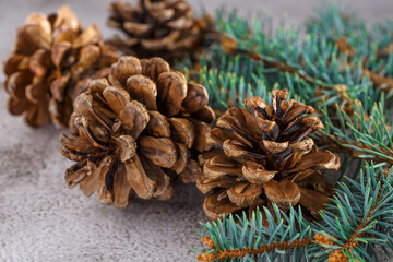 Pine cone and green branch on wooden table .Christmas card. Pine cones on wooden background.