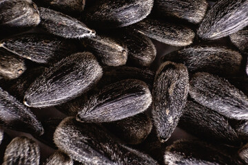Seeds, sunflower seeds close-up. Macro