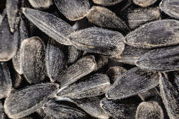 Seeds, sunflower seeds close-up. Macro