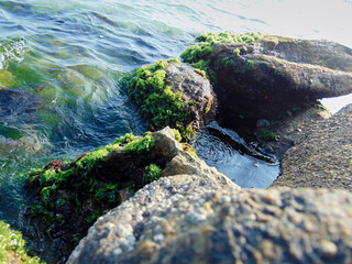 sea and rocks