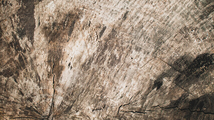 Pictures of old wooden plank texture