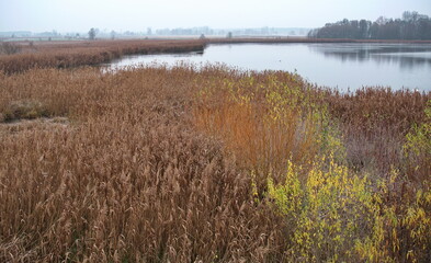 Trüber Morgen am Entenweiher bei Stangenhagen, Stadt Trebbin