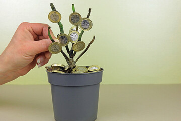 A hand picking a pound coin from a money tree..