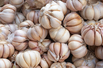 Pile of Garlic background