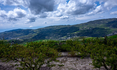 Citrus trees in a small village in the mountainous part of the island of Cyprus in early spring.