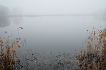 See und Schilf am fr&uuml;hen Morgen mit Nebel