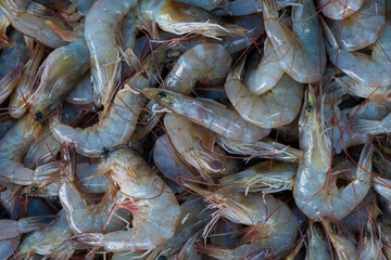 Pile of shrimp in market background texture.,Photo of seafood concept.