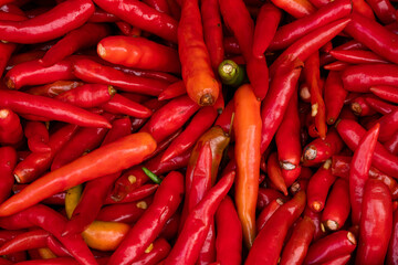 Pile of Dired chilly texture background