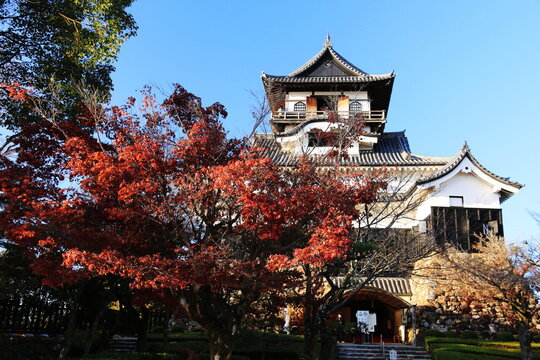 日本の秋　愛知県犬山市　紅葉と犬山城
