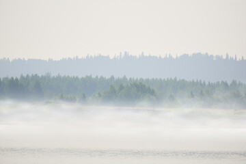 Naklejka na ściany i meble wild river bank with trees in morning fog