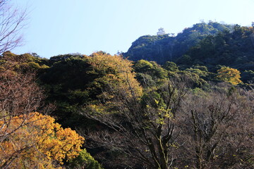 日本の秋　岐阜県金華山　紅葉と岐阜城