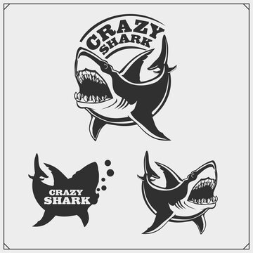 The emblem with shark for a sport team. Print design for t-shirt.