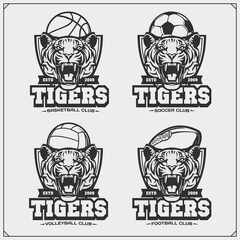 Volleyball, basketball, soccer and football logos and labels. Sport club emblems with tiger. Print design for t-shirt.