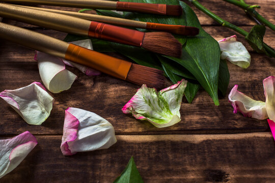 makeup brushes in wooden background close up