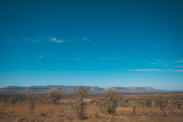 a landscape with trees and mountains in the background