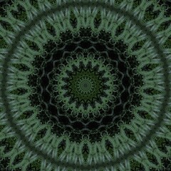Green abstract fern leaf backgroudn with round shape