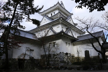 Fototapeta premium 晩秋の岐阜 大垣城