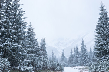 Zimowy szlak górski w Tatrach - obrazy, fototapety, plakaty