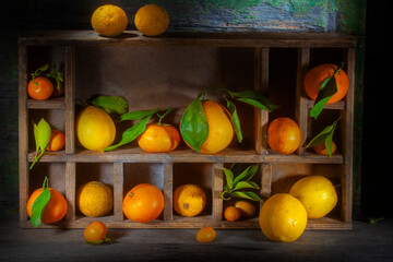Shinny Showcase of Different Kinds Of Citruses
