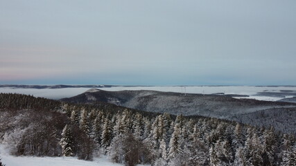 Schwarzwald Kandel Bergspitzen Nebel