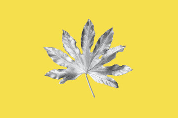 Wunderschönes Blatt in ultimativer grauer Metallic-Lackierung auf gelb leuchtendem Hintergrund. Draufsicht, Kopierraum, Farben des Jahres 2021 © manuta