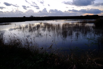 Kerignon, a small village near Guérande and salt marsh..