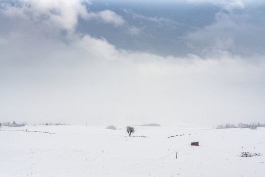 Camporovere, altopiano di asiago under teh snow