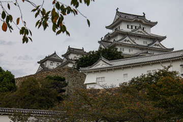 Naklejka premium japanese castle in the park