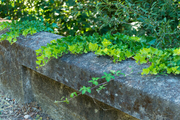 arenas de san pedro detalles