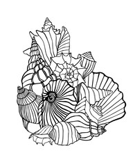 Doodle with seashells. Contours with sea clams. Line art with shellfish, nautical theme. Hand drawn print with sea life. Marine graphic illustration for coloring book.