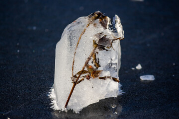 A piece of clear ice with a frozen branch
