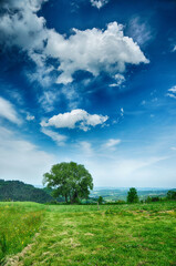 Fototapeta na wymiar Letni pejzaż z drzewem i chmurami. Summer landscape with a tree and clouds (Beskid Makowski).