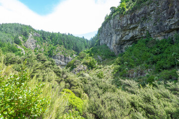 Fototapeta na wymiar Natural bush view in Rakaia Gorge from track to Washpen Falls.
