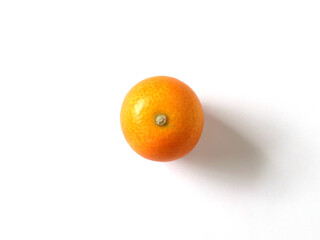 キンカン 7　白背景