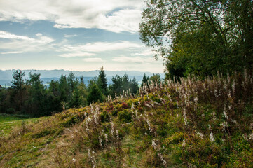 Pejzaż górski z Tatrami. Mountain landscape with the Tatra Moutains (Gorce). 