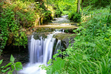 Fototapeta na wymiar small stream in the green forest