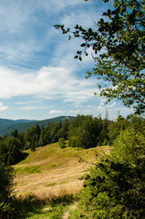 Pejzaż górski latem. Mountain landscape in summer (Beskid Wyspowy).