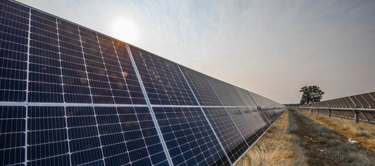 Solar field in North Texas