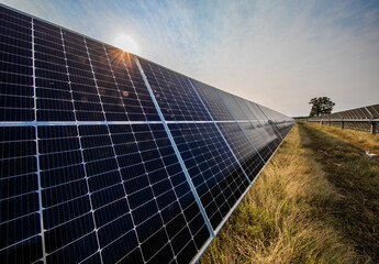 Solar field in North Texas