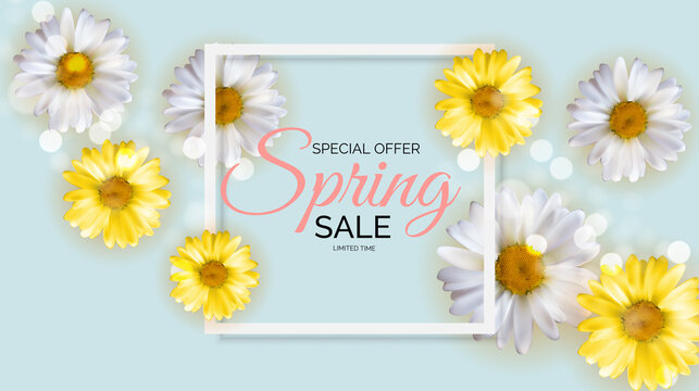Promotion offer, card for spring sale season with spring plants, leaves and flowers decoration. Vector Illustration EPS10