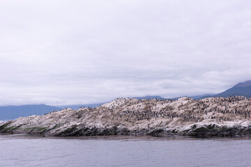 island in Ushuaia
