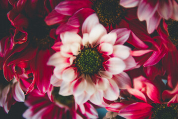 Rio de Janeiro - Brasil