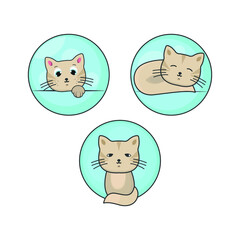 Cute cat set, vector illustration