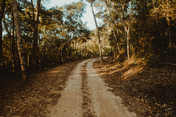 Fototapeta premium Natureza em Nova Friburgo