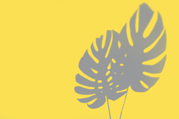Illuminating yellow and ultimate gray - trendy colors of the year 2021. Vivid abstract background with monstera leaf shadow and copy space for text. Tropical concept and design element