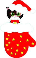 Christmas santa claus and cat in the mitten santa claus.