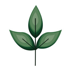 stem with three green leaves in the sides